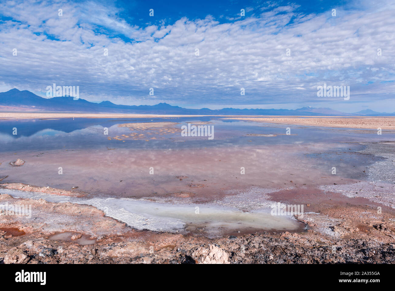 Laguna de Chaxa Chaxa See, Salar de Atacama, Atacama, San Pedro de Atacama, Región de Antofagasta, Chile, Lateinamerika Stockfoto