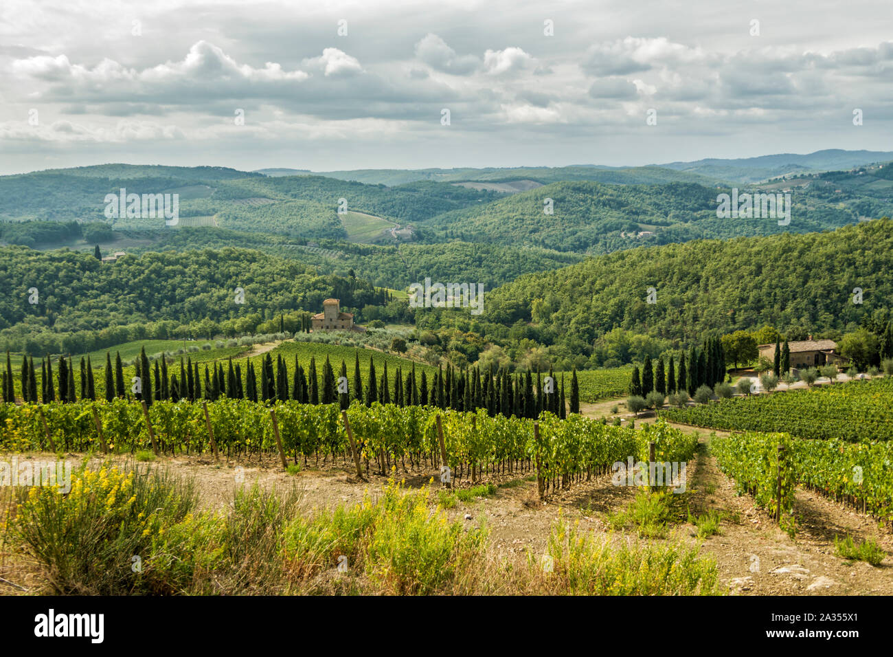 Weinberge des Castello di Albola Immobilien in der Region Chianti, Toskana,  Italien Stockfotografie - Alamy