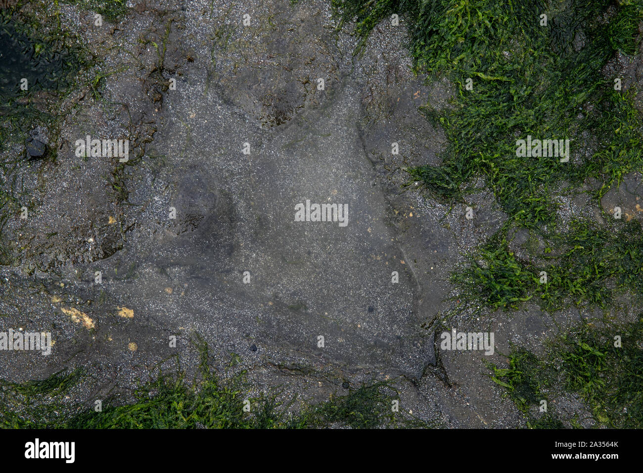 Isle Of Skye Stockfoto