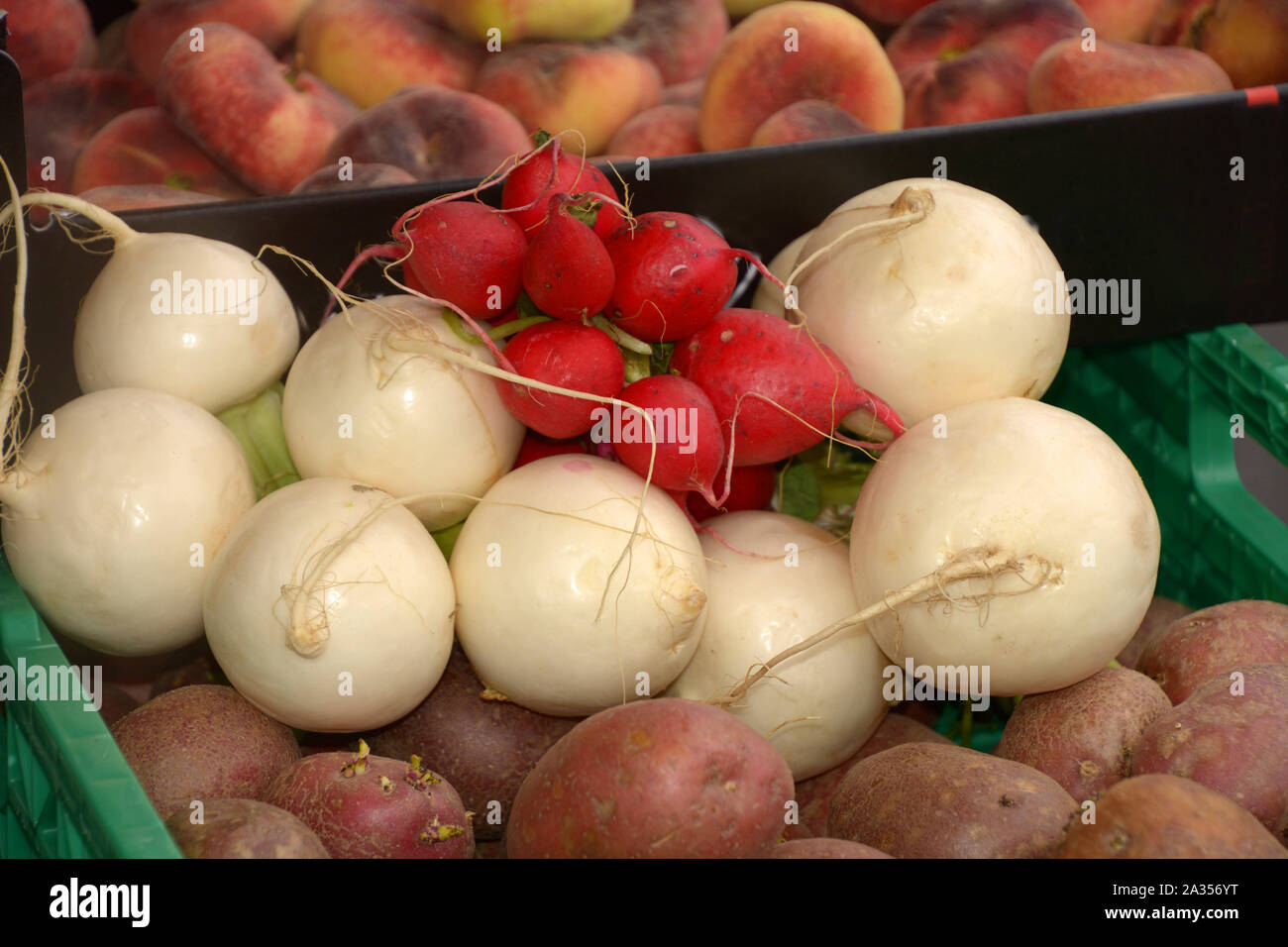 Bio store mit reifen Rettich und Rote Beete, frische, rote Rüben und Radieschen in einem Korb auf einem gesunden Markt Stockfoto