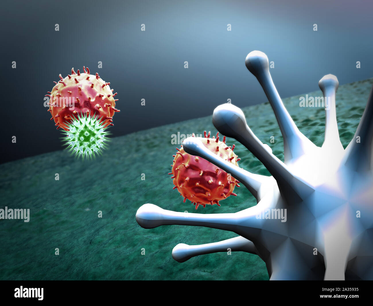 Makrophage tötet Viren, gerenderten 3d-Makrophagen und Virus, im menschlichen Körper, Medizinische video Hintergrund, Viren im menschlichen Körper Stockfoto