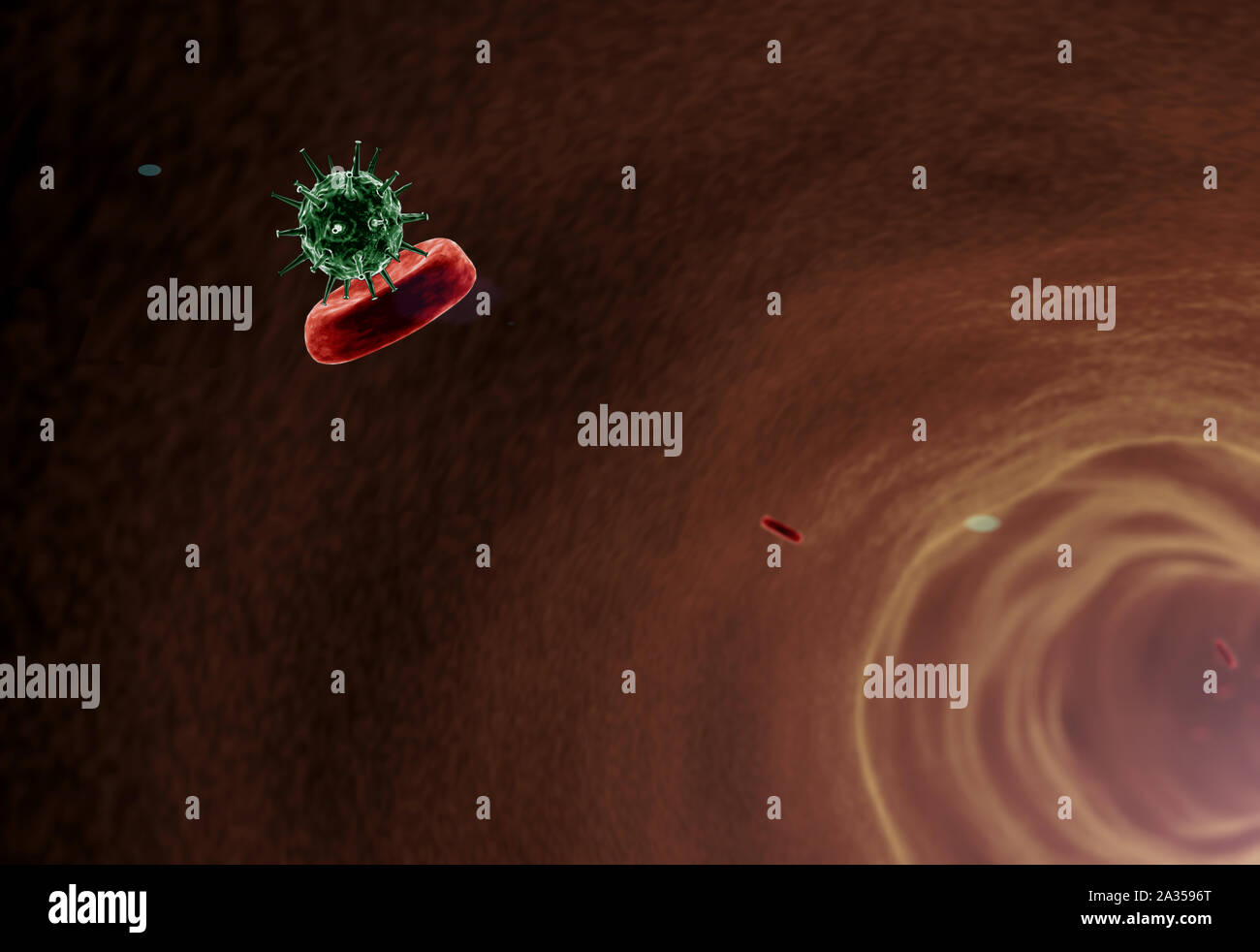 Erythrozyten und Viren im Blut Stockfoto