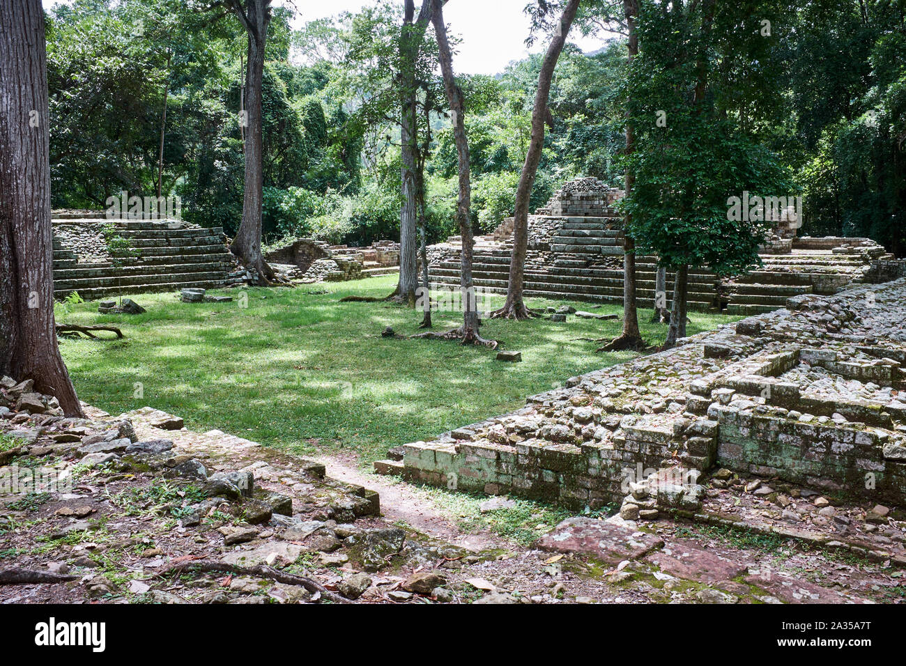 Maya-ruinen durch den Dschungel bei Copan Ruinen, Copan, Honduras zurückgewonnen Stockfoto