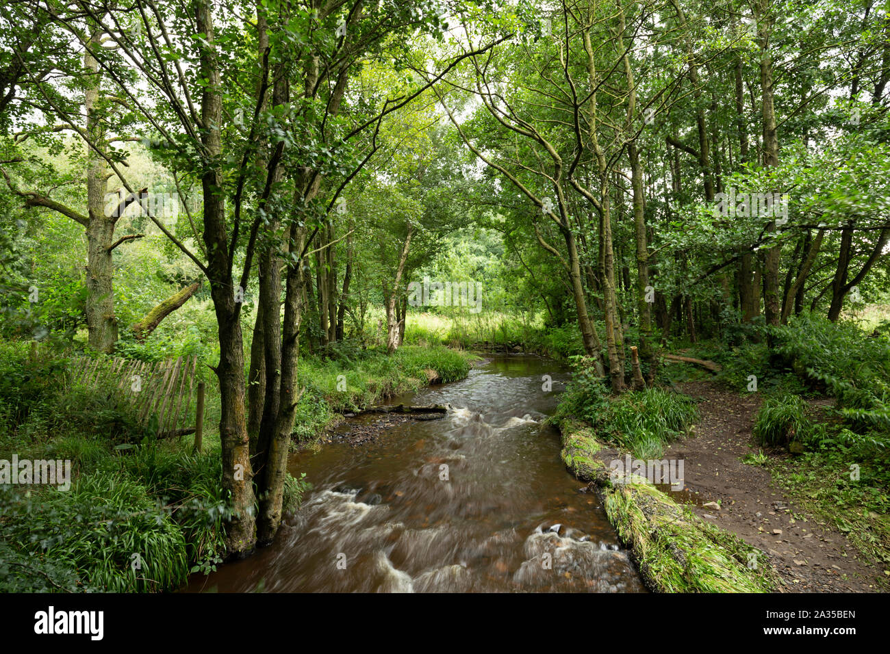 Flachen Wald Fluss an bewölkten Sommertag im Peak District, ENGLAND Stockfoto