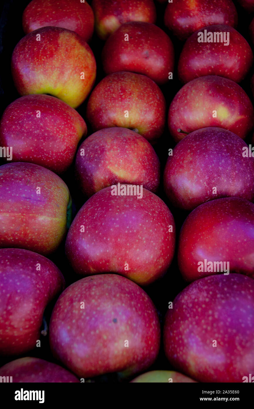 Reihen von rote Äpfel auf dem Markt Stockfoto