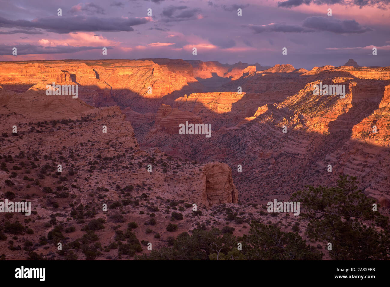 Sonnenuntergang an der Keil, der Utah "kleine Grand Canyon' Stockfoto