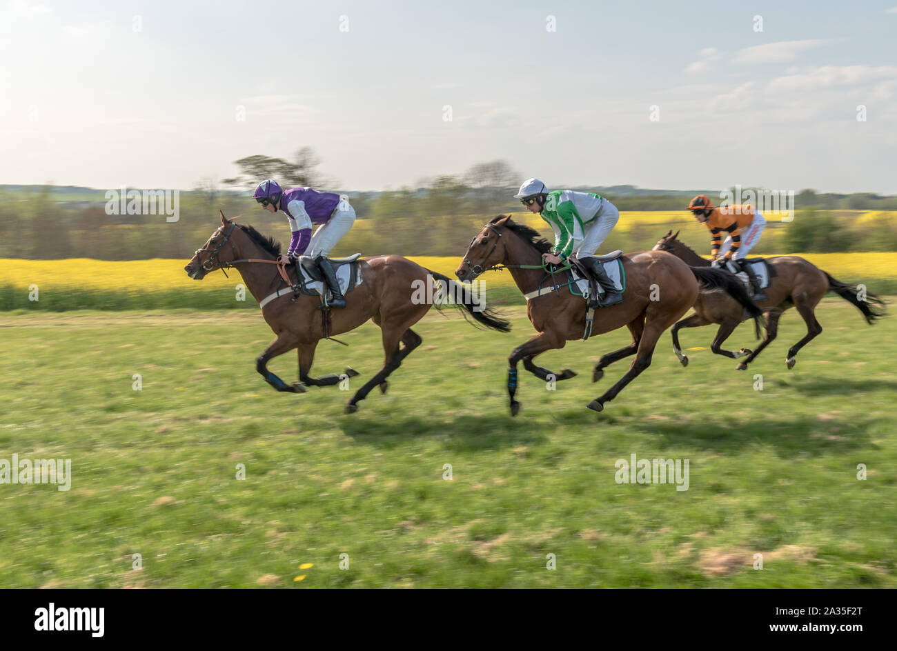 Racing the Final Furlong bei Paxford Punkt-zu-Punkt-Rennen Stockfoto