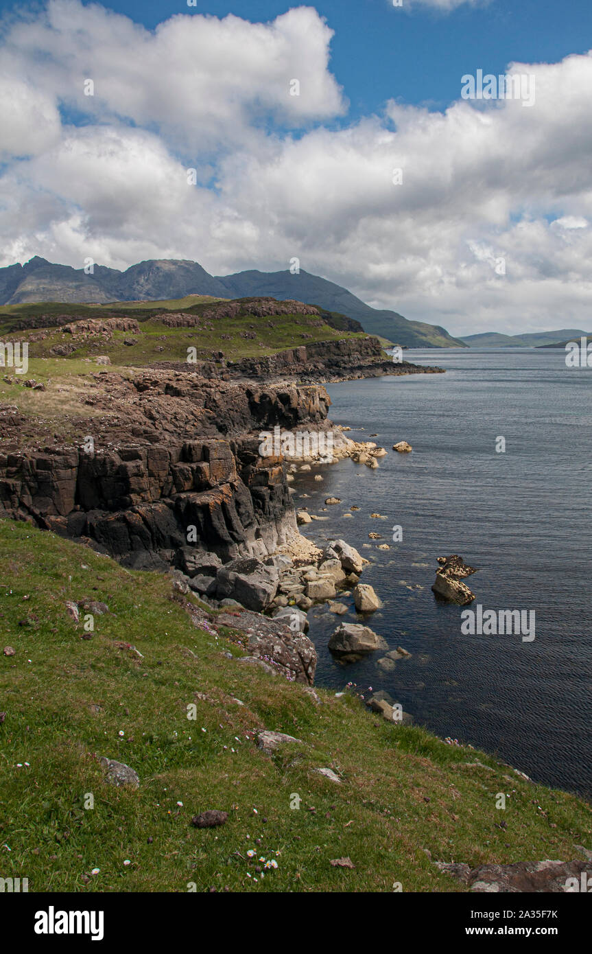 Blick entlang Soay-schafe als Sound aus Rubh' eine Dùnain Richtung Schwarzes Cuillin, Glen Spröde, Isle of Skye, Schottland Stockfoto