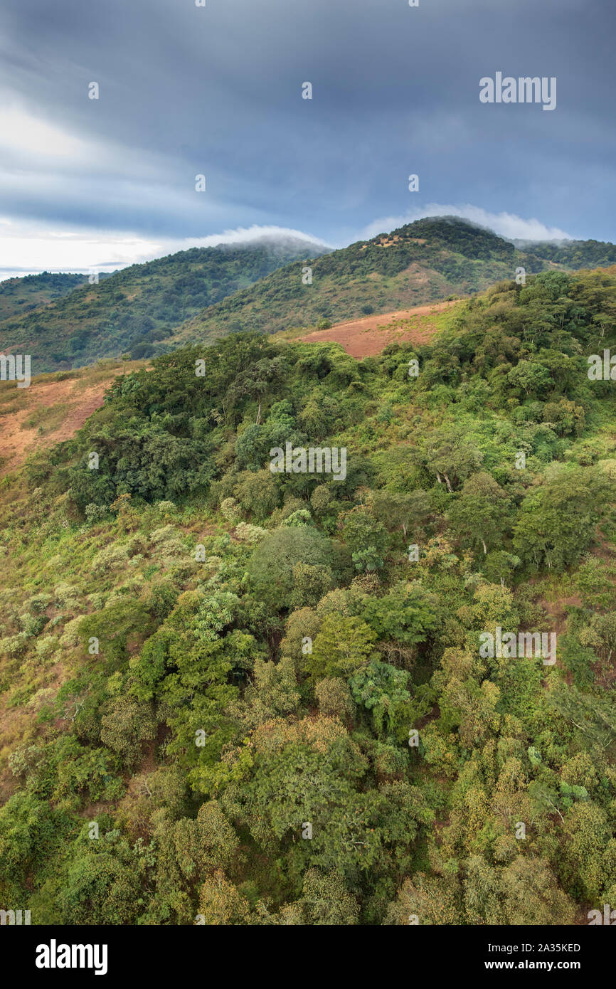 Afrika, Kenia, Luftaufnahme von Wald bedeckte Hänge des Ngong Hügeln außerhalb von Nairobi Stockfoto