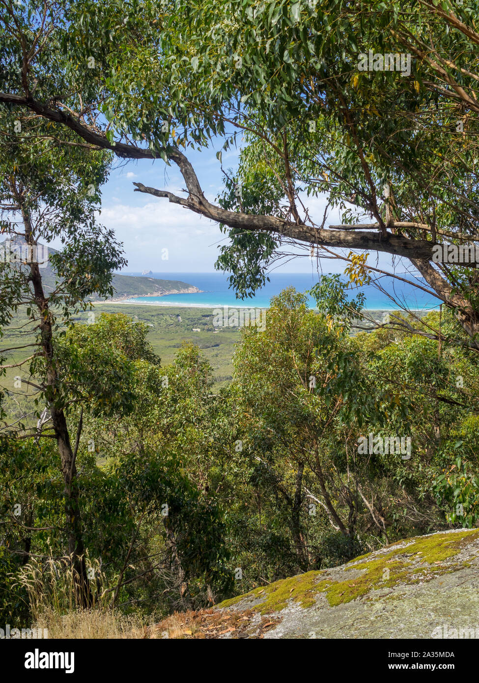 Blick über Wilsons Promontory vom Lilly Pilly Gully Circuit, Victoria, Australien Stockfoto