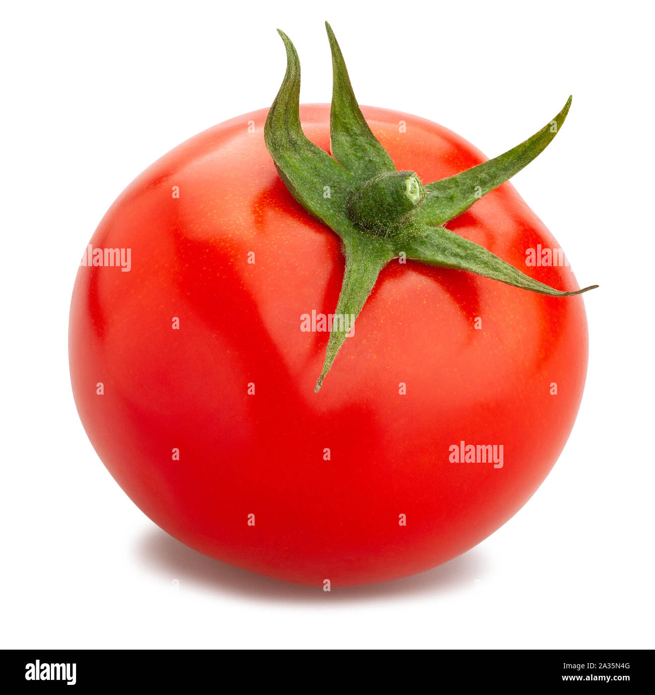 Tomate Pfad isoliert auf weißem Stockfoto