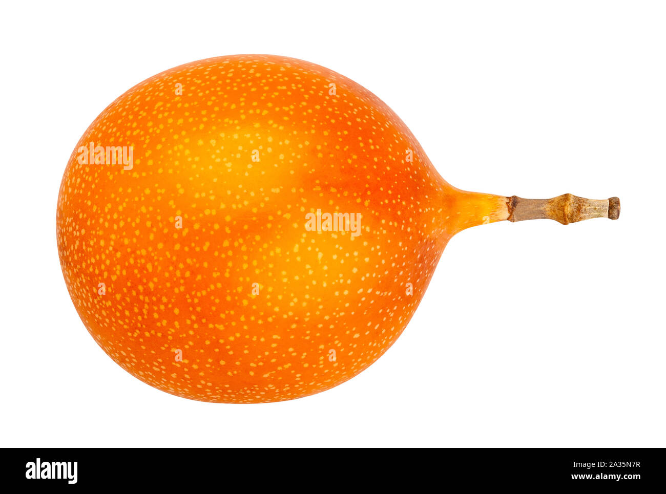 Granadilla Passionsfrucht Pfad isoliert auf weißem Stockfoto