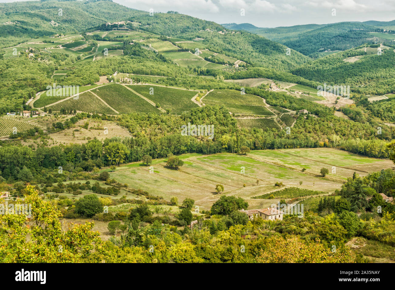 Weinberge des Castello di Albola Immobilien in der Region Chianti, Toskana,  Italien Stockfotografie - Alamy