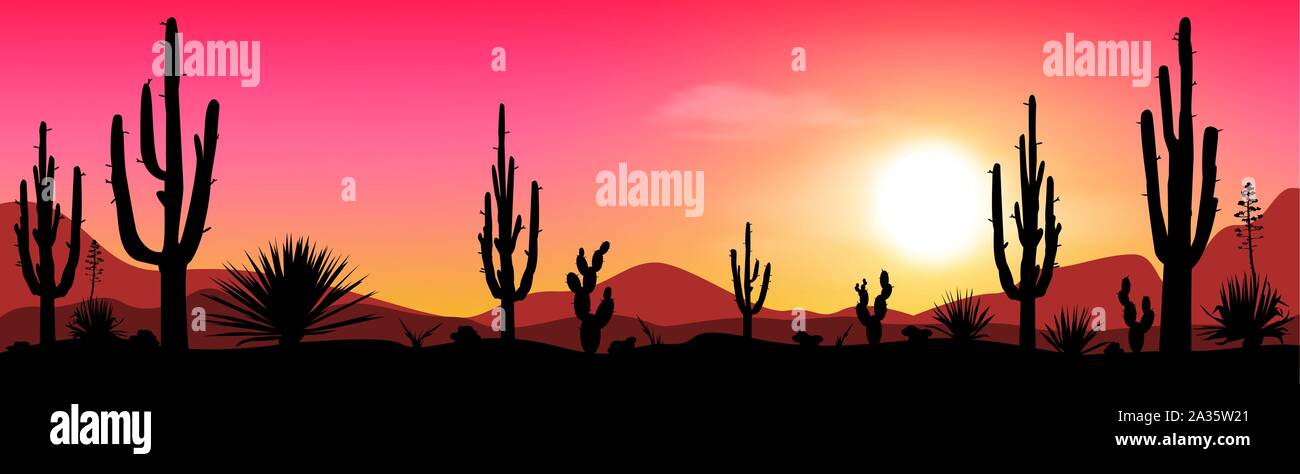 Sonnenuntergang in der mexikanischen Wüste. Silhouetten von Steinen, Kakteen und Pflanzen. Landschaft der Wüste mit Kakteen. Die steinige Wüste. Stock Vektor