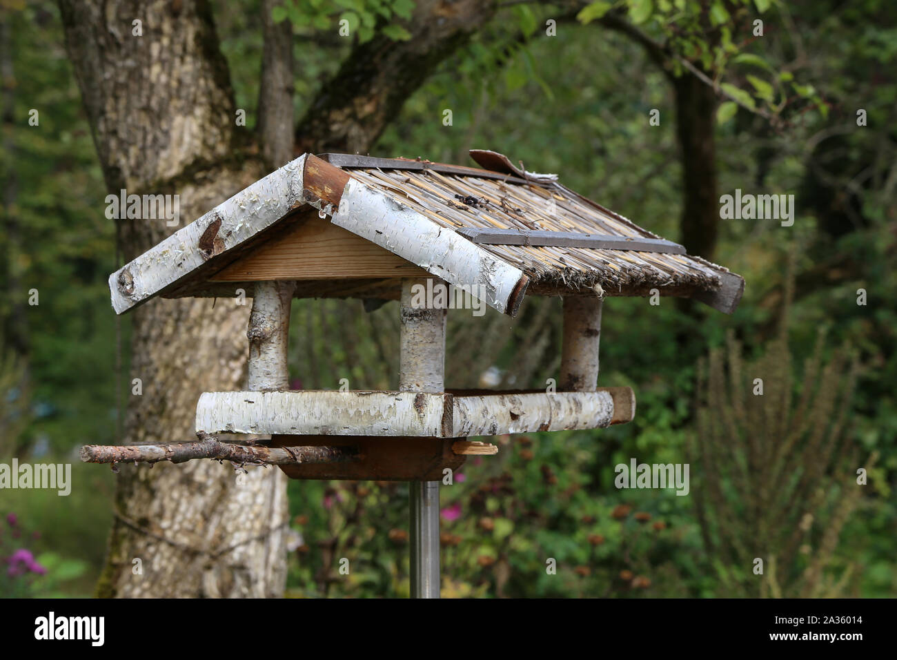 Handgefertigt aus Holz Futterhaus aus Birke Stockfoto