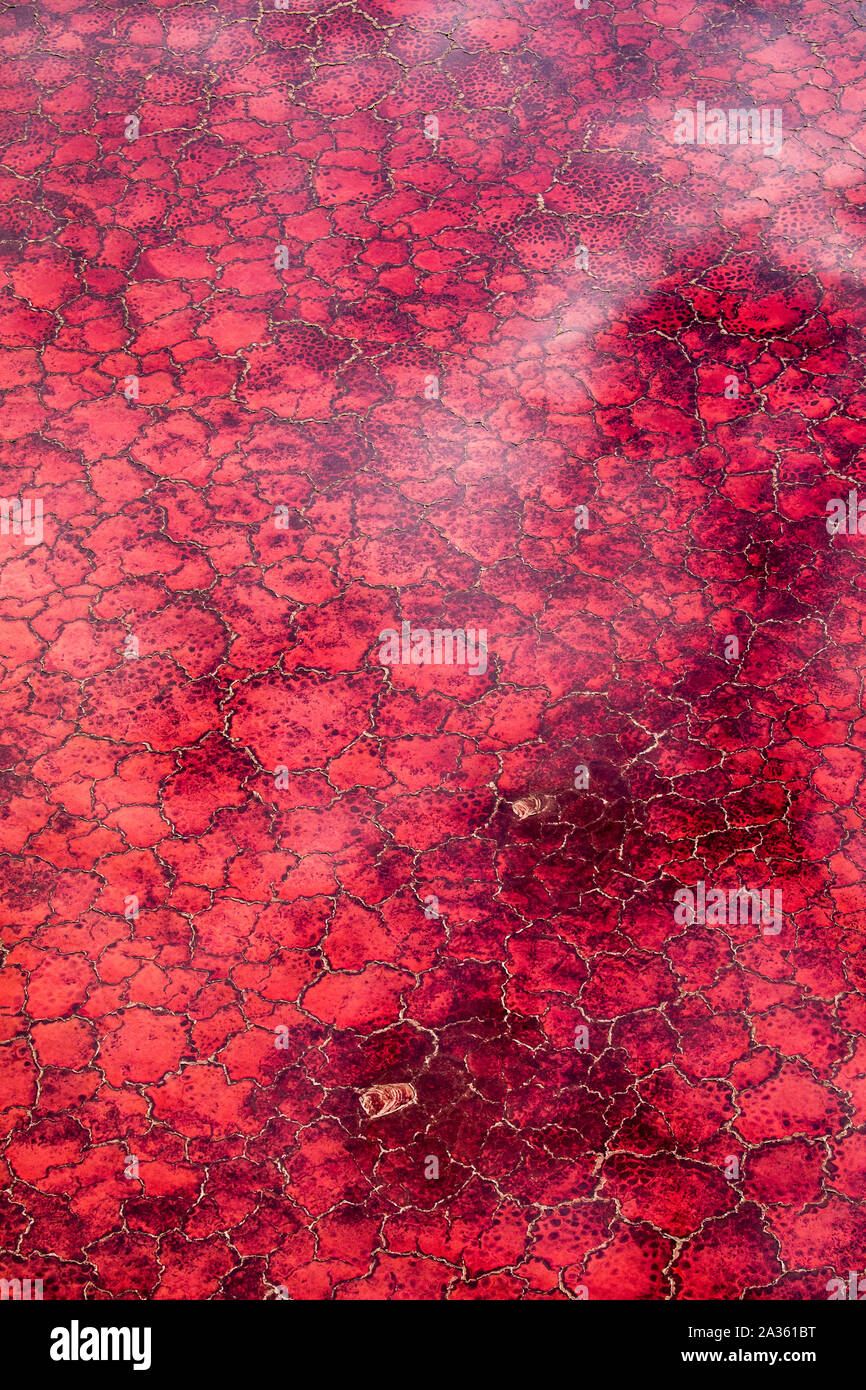 Afrika, Tansania, Luftbild der Muster der roten Algen und Salz Formationen im flachen Salz Wasser des Lake Natron Stockfoto