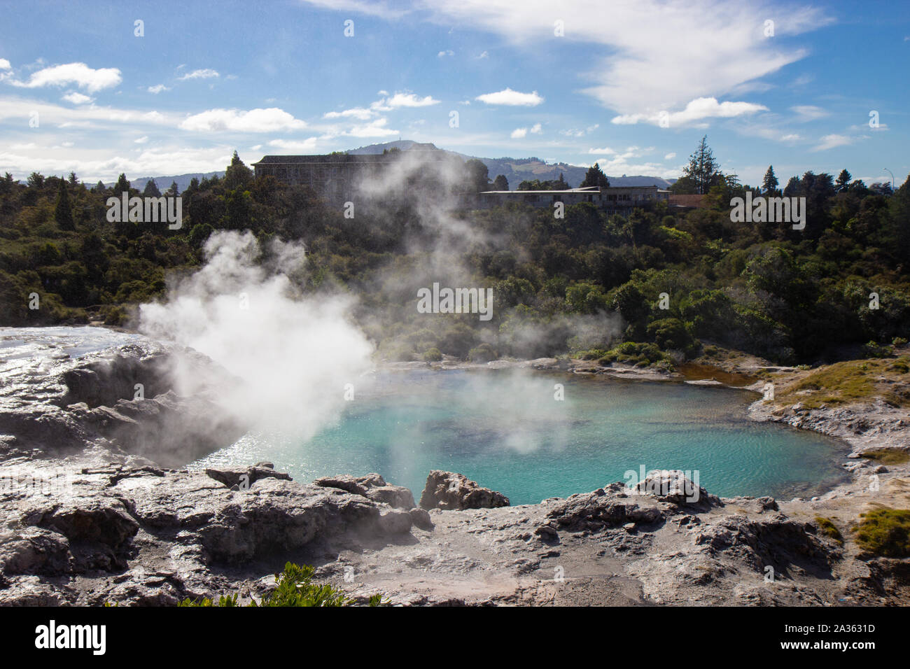 Geysir im Te Puia Park in Rotorua, North Island Stockfoto