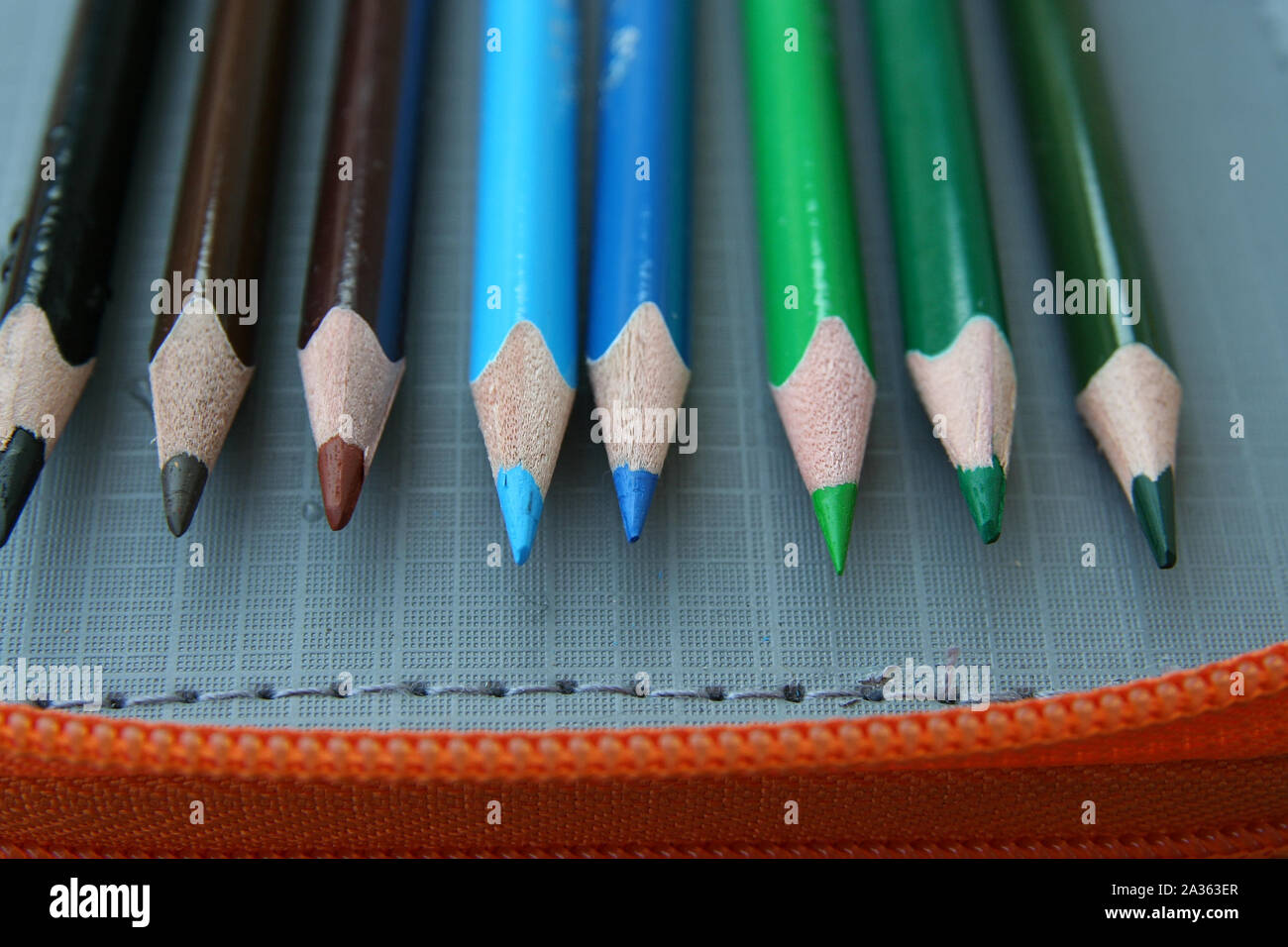 Stifte in verschiedenen Farben. Bunte Wachsmalkreiden. Die Vorschule. Stockfoto