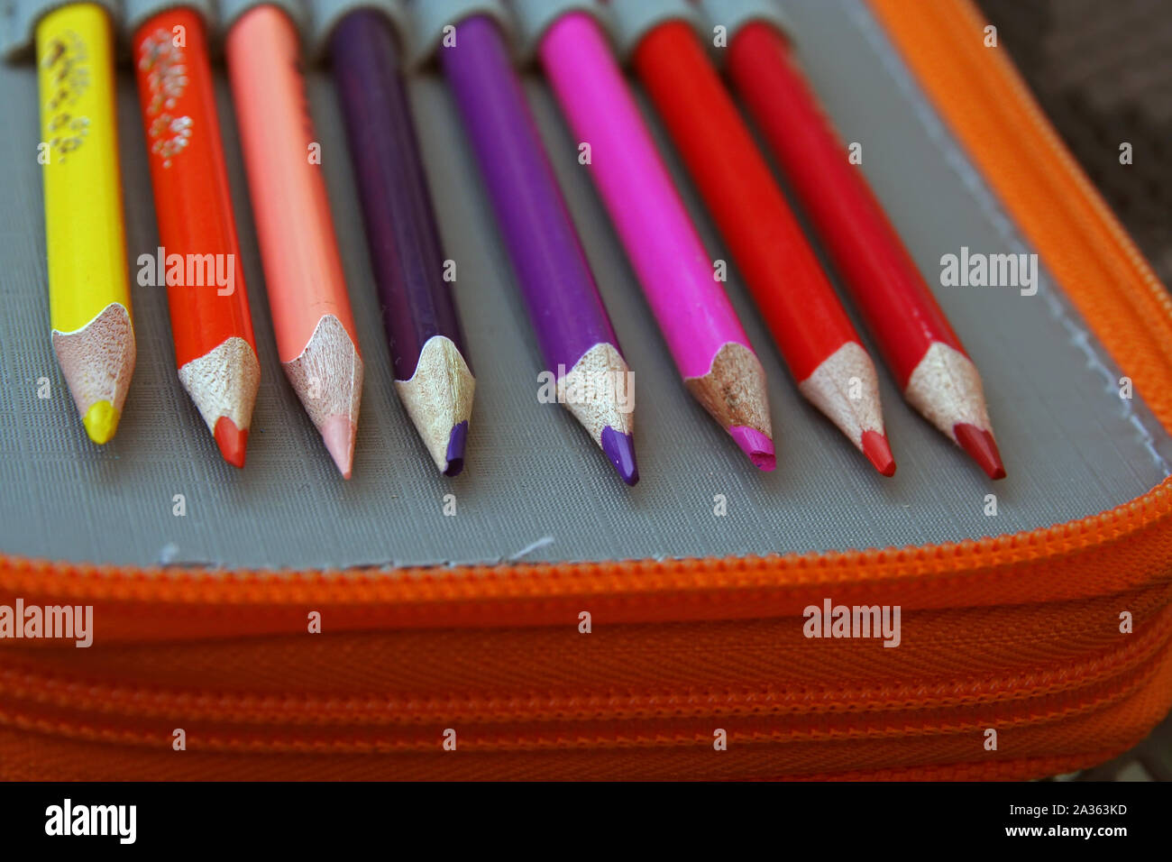 Stifte in verschiedenen Farben. Bunte Wachsmalkreiden. Die Vorschule. Stockfoto