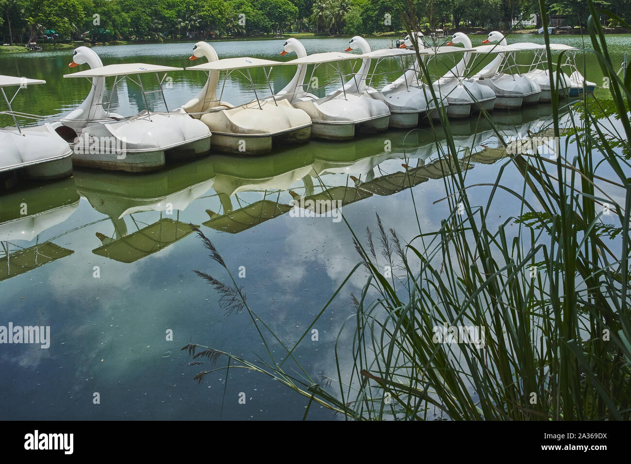 Blick über das Wasser in den Lumpini Park Stockfoto