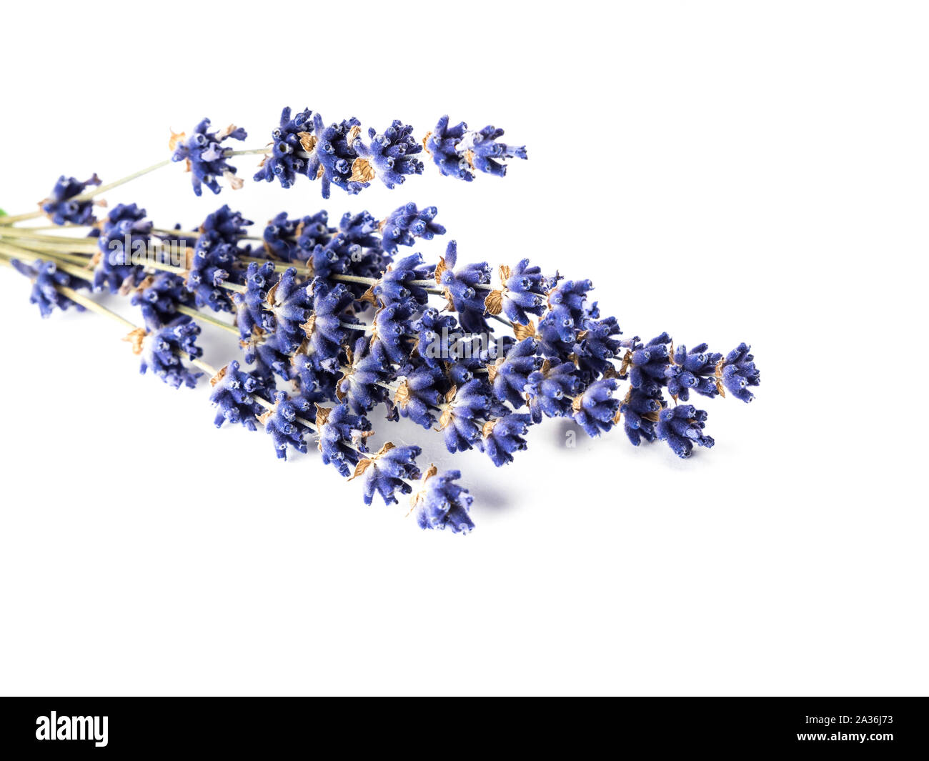 Lavendel Blumen Haufen Stockfoto