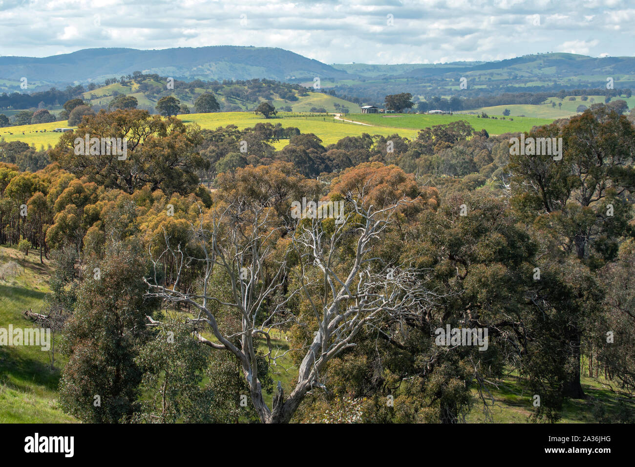 Südliche Strathbogies vom Anzac Hill Lookout, Seymour, Victoria Stockfoto
