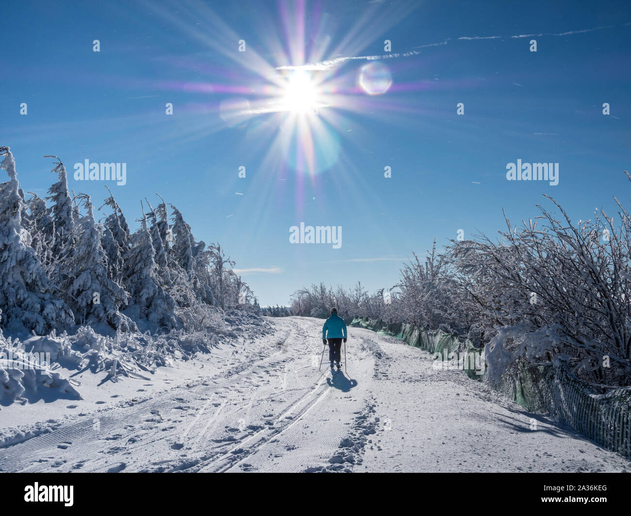 Langlaufski im Wintersportgebiet Stockfoto