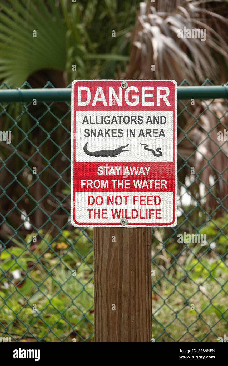 Schild "Alligatoren und Schlangen im Bereich" in Florida, USA Stockfoto
