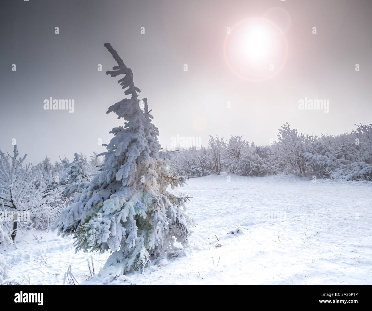 Schöne Winterlandschaft Stockfoto