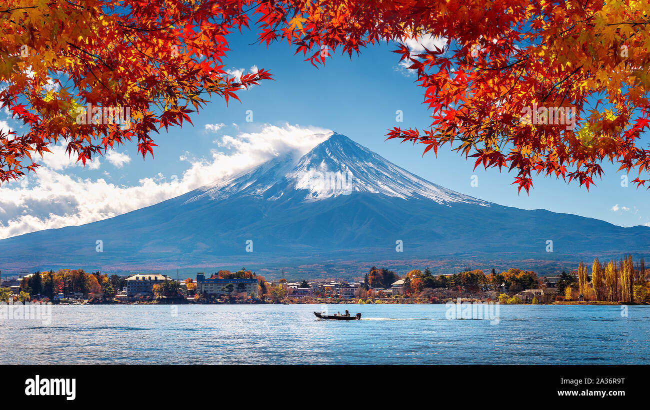 Herbst und Berg Fuji am Kawaguchiko See, Japan. Stockfoto