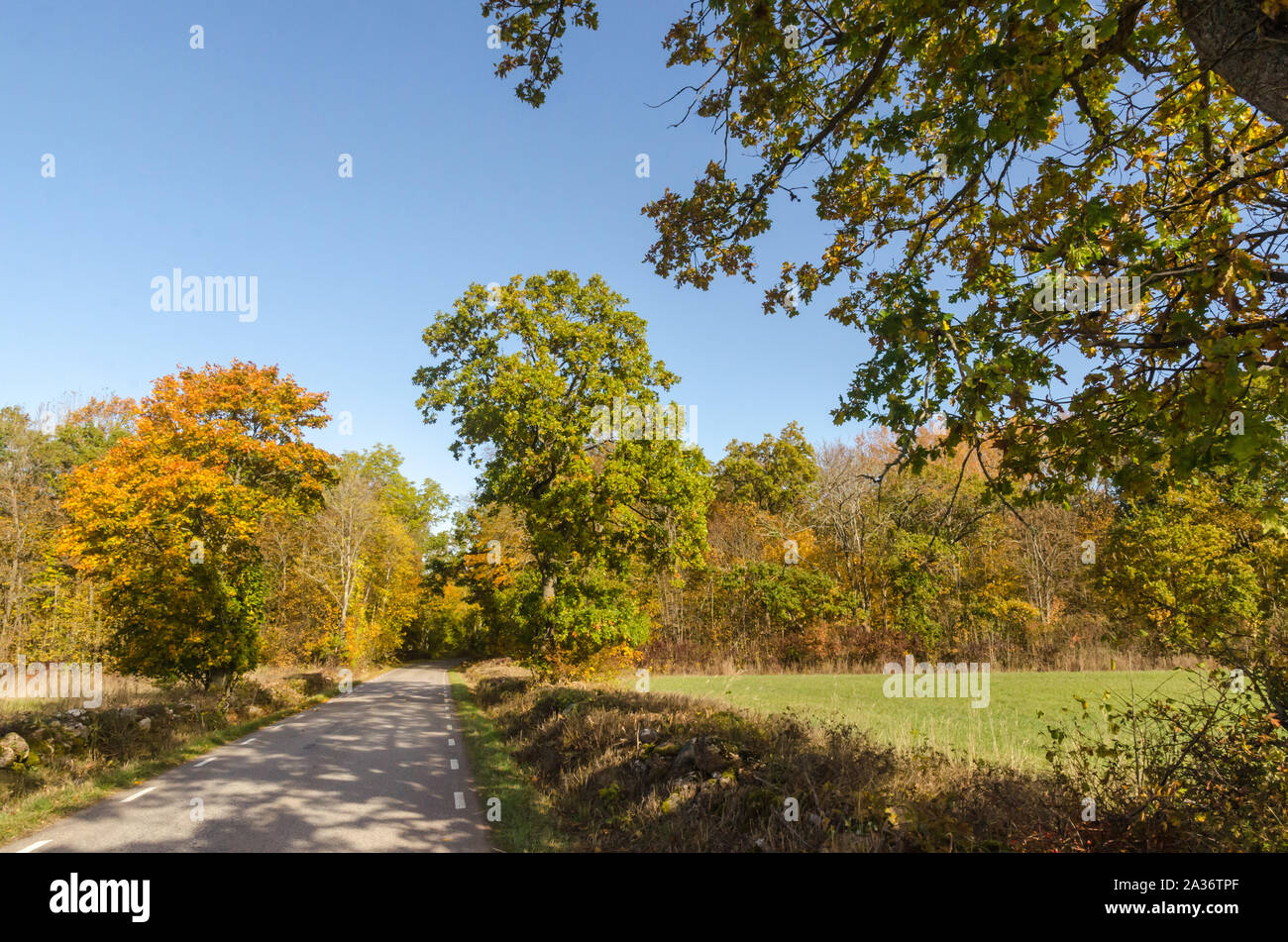 Bunte land Straße weniger durch Herbst, der Jahreszeit gereist Stockfoto