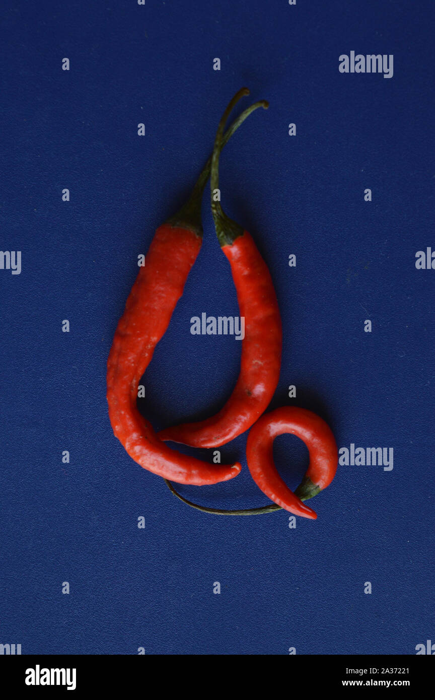 Rote Chilis isoliert auf blauem Hintergrund und Form wie Lord Ganesha Stockfoto