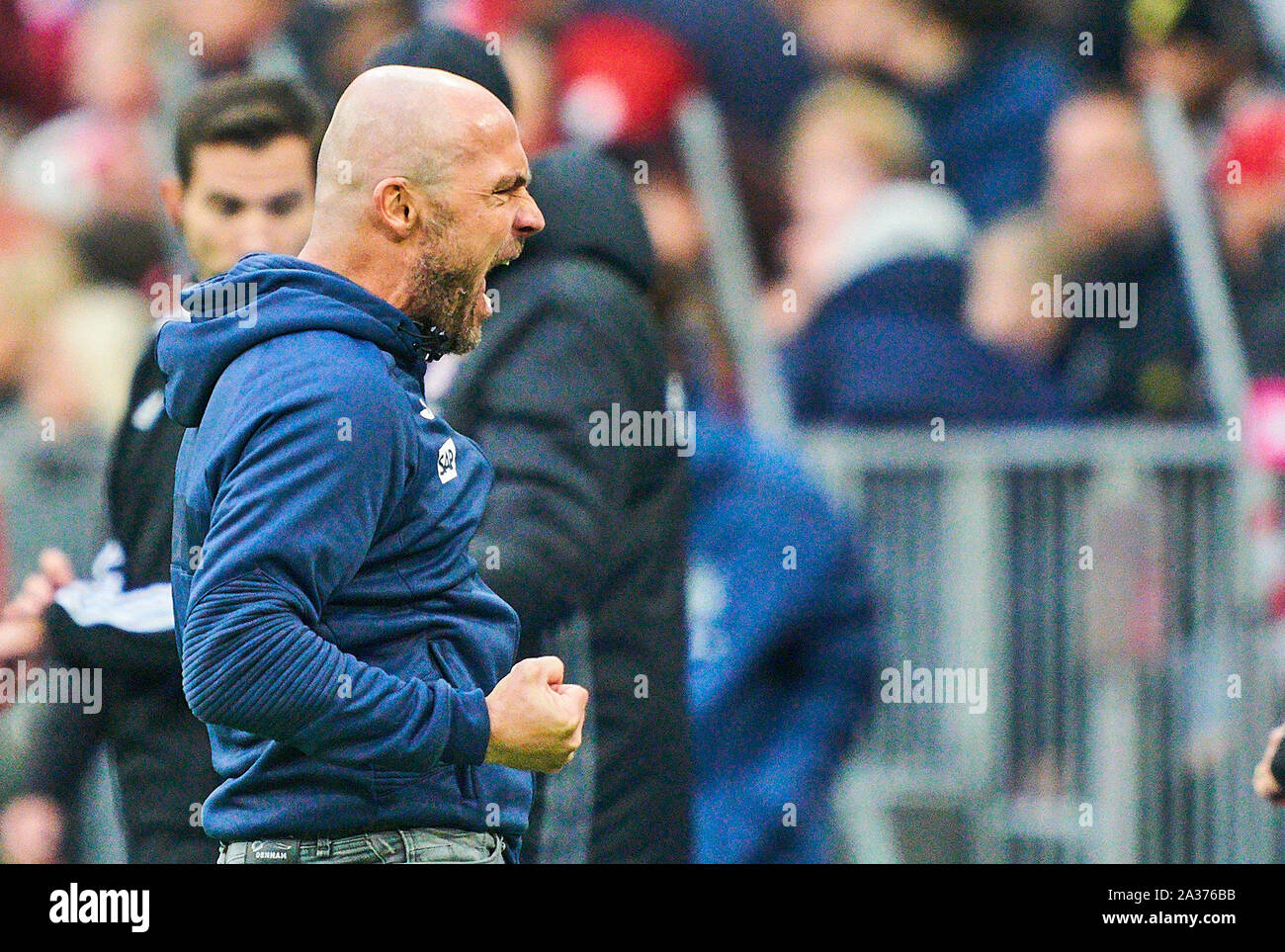 München, Deutschland. 05 Okt, 2019. Alfred SCHREUDER, Chef-Trainer TSG Hoffenheim, Jubeln, Freude, Emotionen, feiern, lachen, Jubeln, Jubeln, reißt die Arme, ballte die Faust, Feiern, Feier, Torjubel, FC BAYERN MÜNCHEN - TSG 1899 Hoffenheim - DFL-Bestimmungen verbieten die Verwendung von Fotografien als BILDSEQUENZEN und/oder quasi-VIDEO - 1. Deutsche Fussball Liga, München, Oktober 05, 2019 Saison 2019/2020, Spieltag 07, FCB, München, Quelle: Peter Schatz/Alamy leben Nachrichten Stockfoto