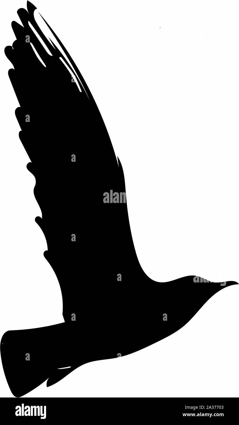 Kunstvoll und verzierten Bild eines Tieres in den Farben schwarz und weiß Optik Stockfoto