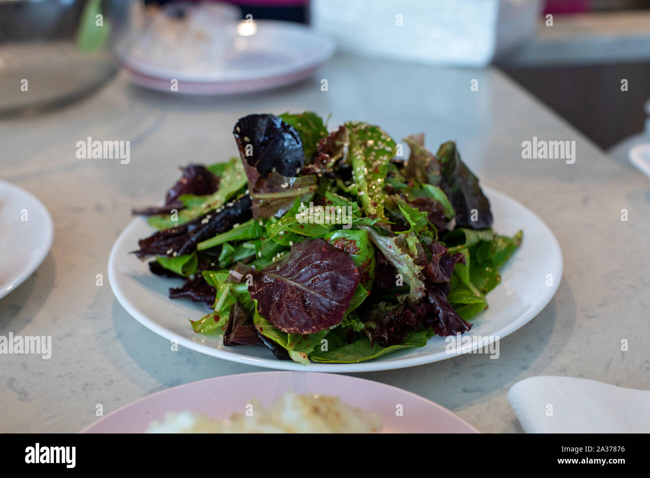 Raw Green Organic Baby Frühjahr Salat auf einen Teller Stockfoto