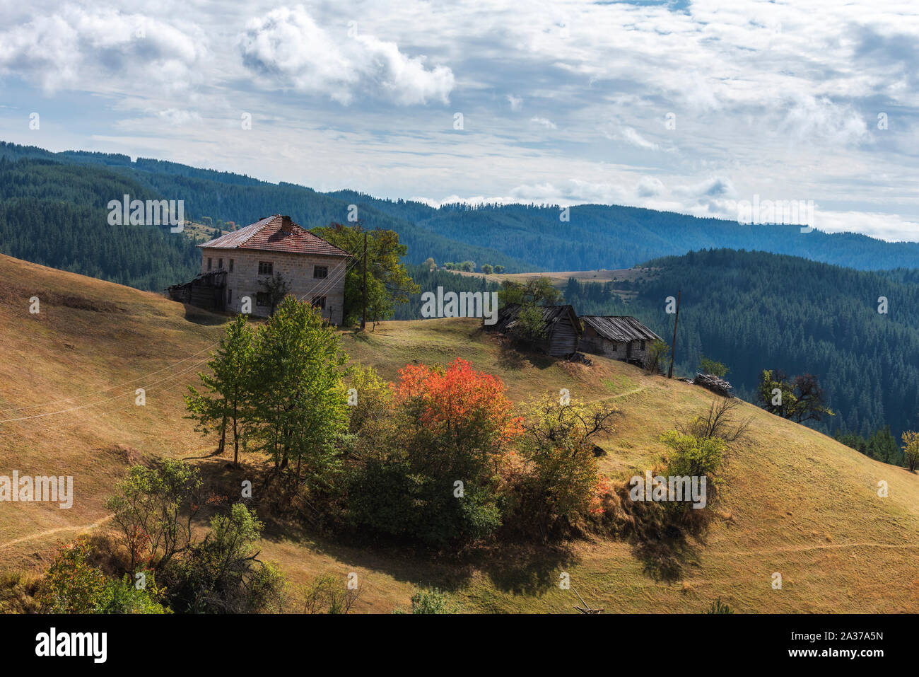 Bewölkt Herbst Tag in Rhodopen Gebirge, Bulgarien Stockfoto