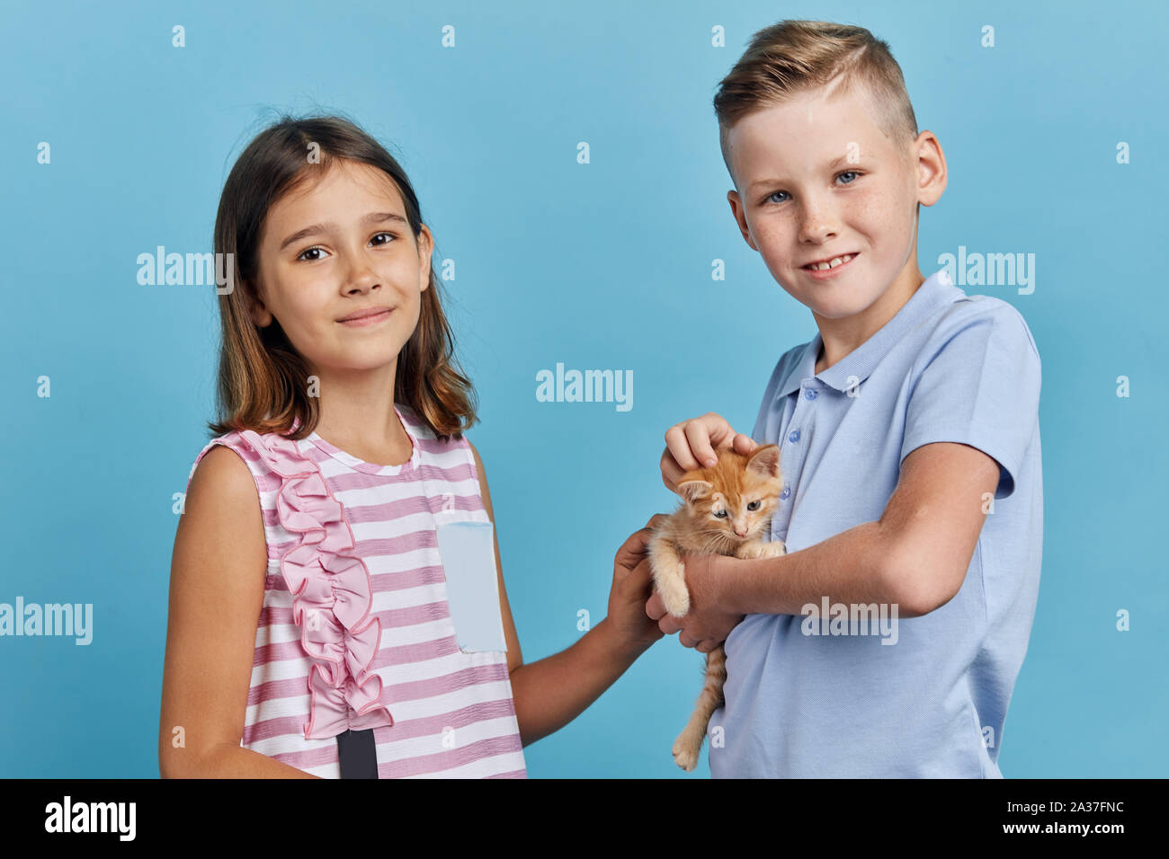 Schwester und Bruder genießen Zeit mit einem Kätzchen im Studio mit blauen Wand, besten Freund Stockfoto