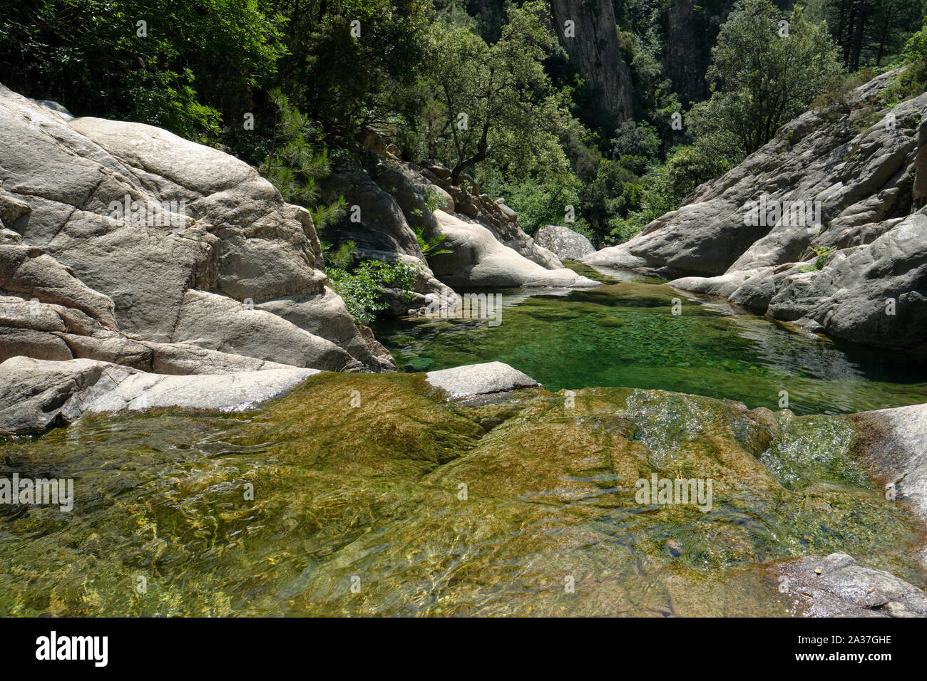 Natürlichen Swimmingpool in der Schlucht des Purcaraccia/Cascades de Purcaraccia, Bavella Gebirge, Korsika Frankreich - Korsika Berge Canyon Landschaft. Stockfoto