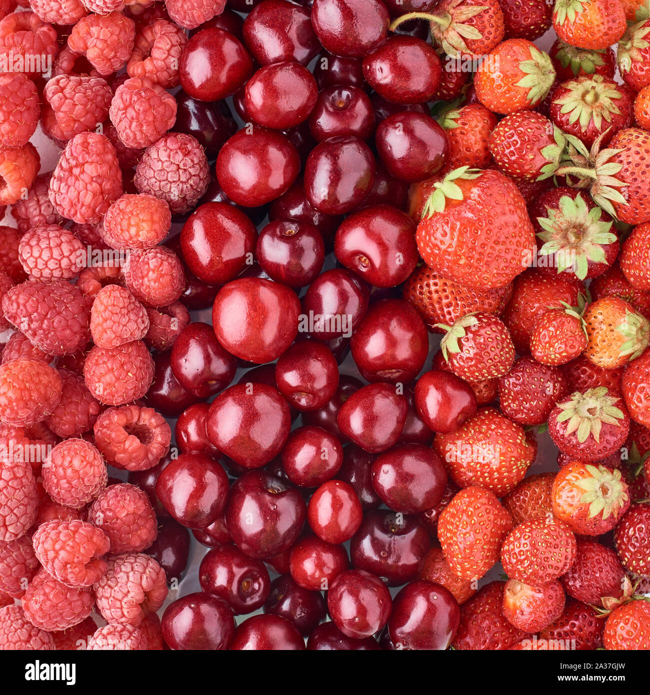 Hintergrund der Himbeere, Kirsche und Erdbeere, Ansicht von oben. Gemischte Beeren Stockfoto