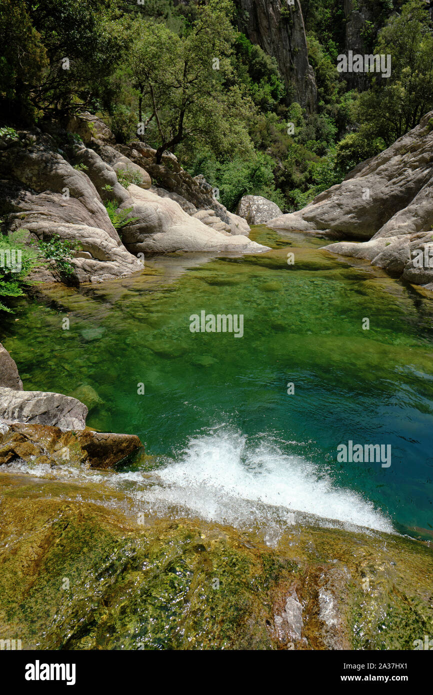 Natürlichen Swimmingpool in der Schlucht des Purcaraccia/Cascades de Purcaraccia, Bavella Gebirge, Korsika Frankreich - Korsika Berge Canyon Landschaft. Stockfoto