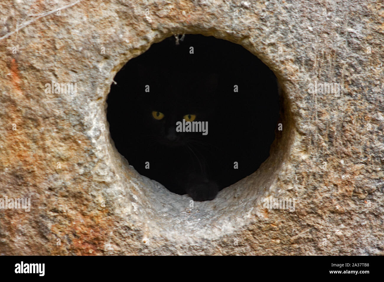 Grün-gelbe Augen von schwarze Katze glooming in dunklen Loch in Naturstein Stockfoto