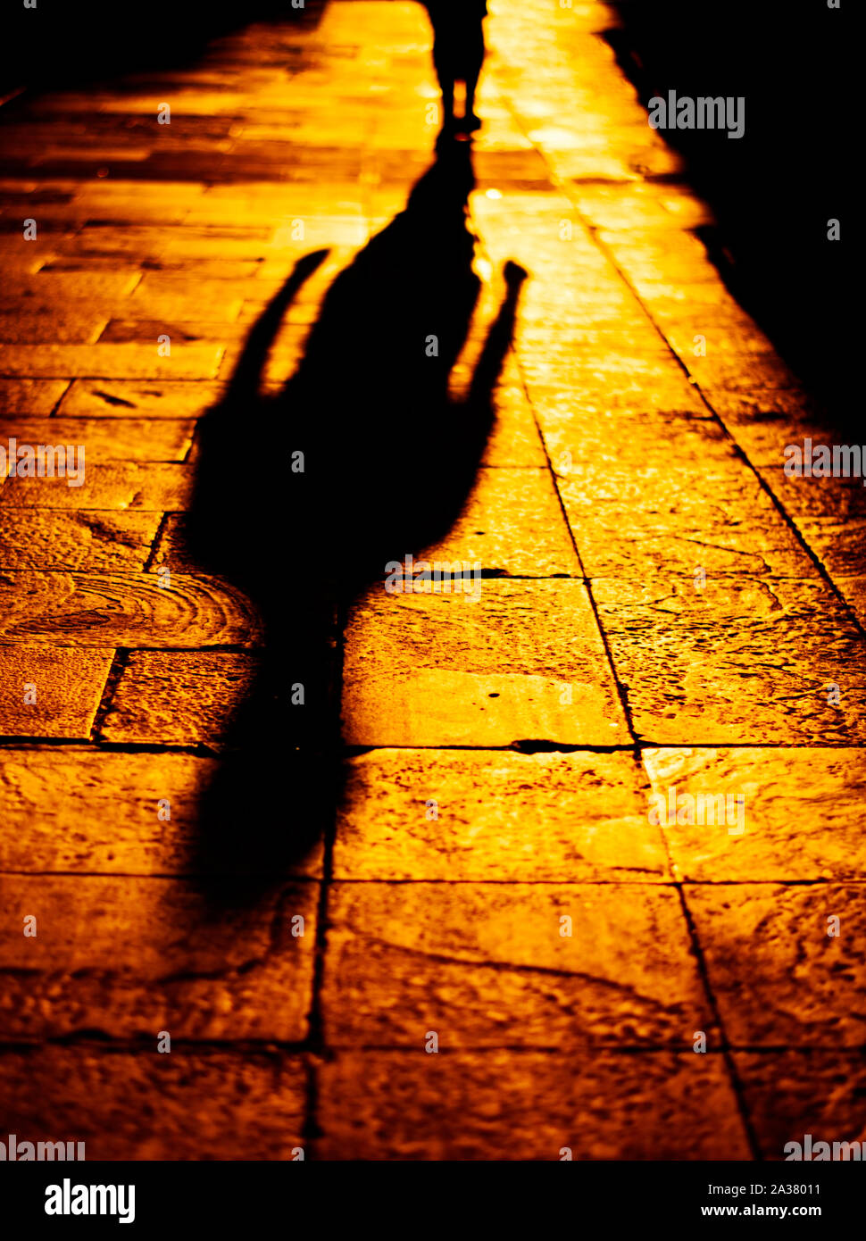 Schatten eines Menschen während der Goldenen Stunde Stockfoto