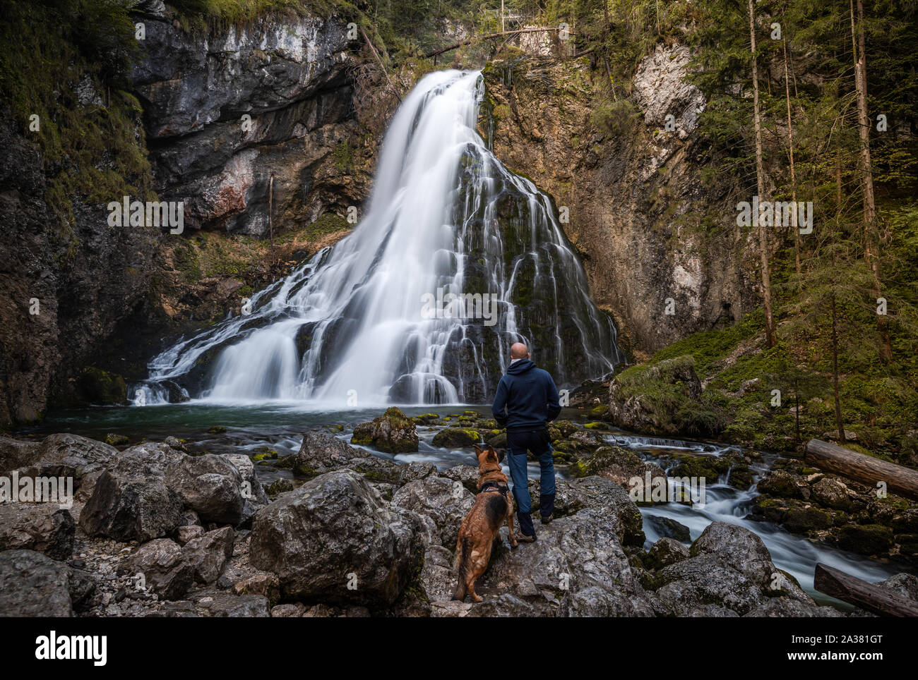 Abenteuer Mann mit Hund Wandern am Gollinger Wasserfall in Österreich. Stockfoto