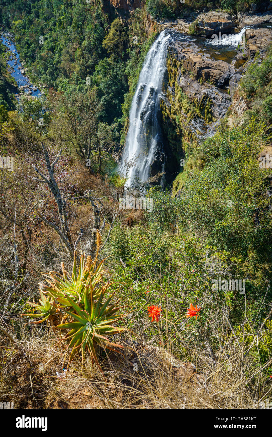 Schönen Wasserfall Lissabon Fälle an der Panorama Route in Mpumalanga, Südafrika Stockfoto