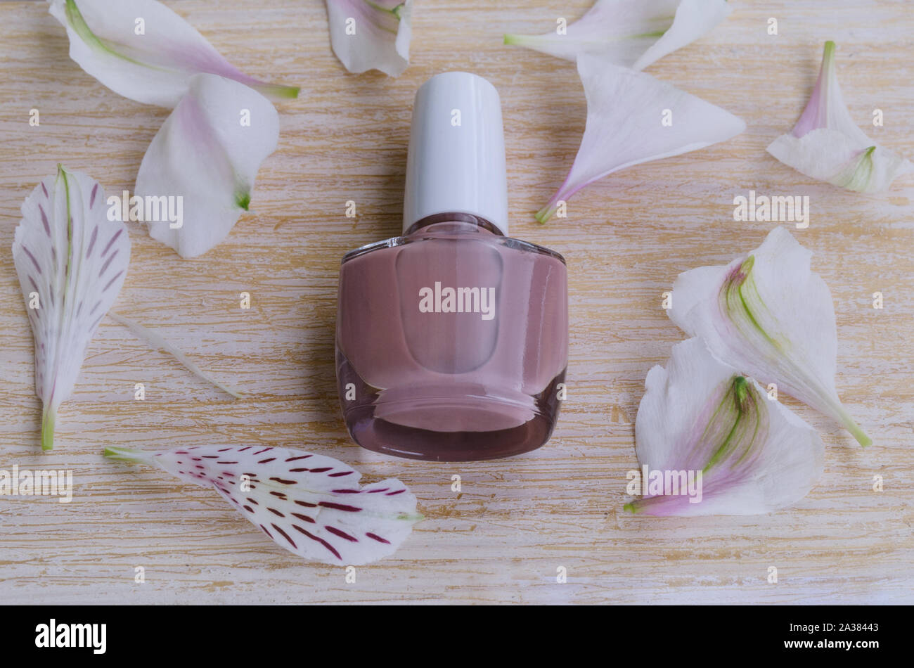Beige Rosa Nagellack mit Blütenblätter auf Holz- Hintergrund. Klassische Maniküre Farbe. Stockfoto