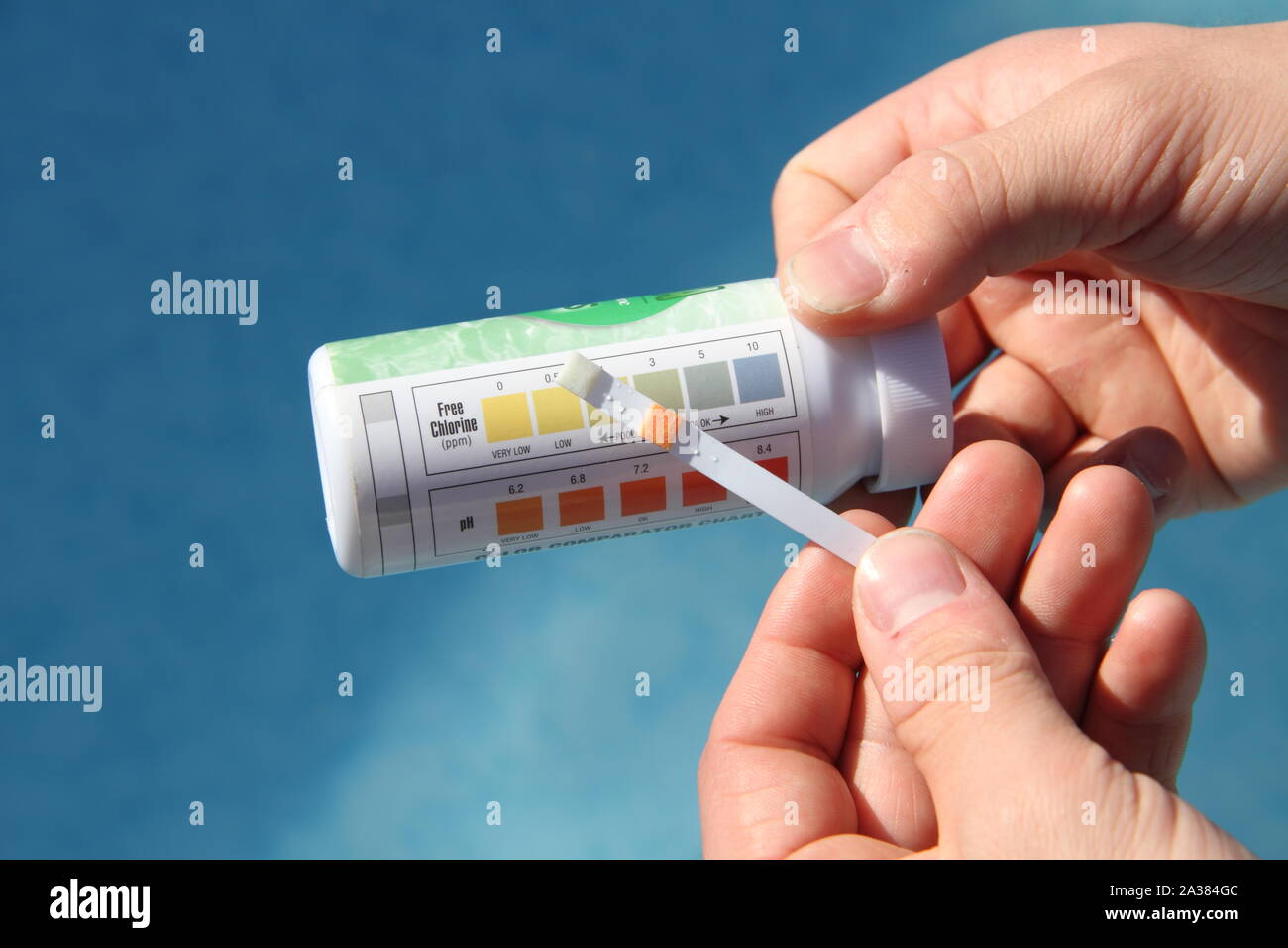 Prüfen Sie das Wasser in den Pool für Chlorgehalt Stockfoto