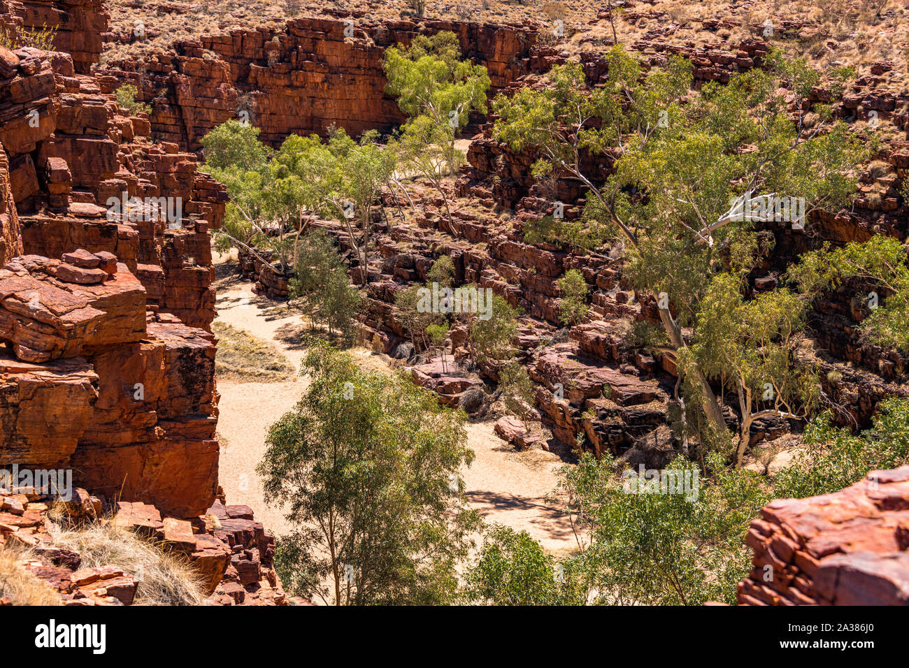 Die Fernbedienung Trephina Gorge, im Osten MacDonnell Ranges, im Northern Territory, Australien Stockfoto