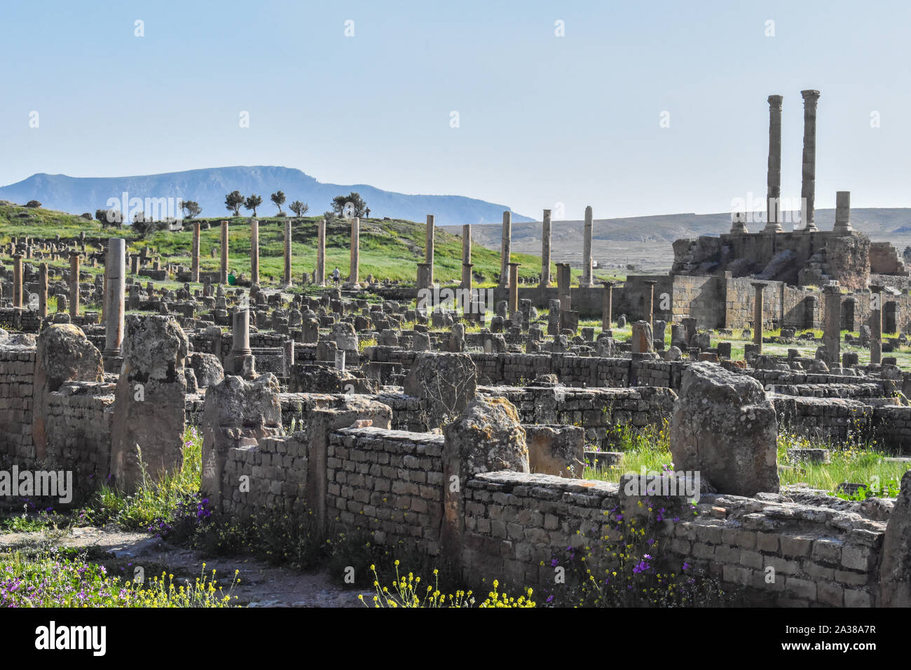 Die alte römische Stadt Timgad in Batna, Algerien, errichtet um 100 AC Stockfoto