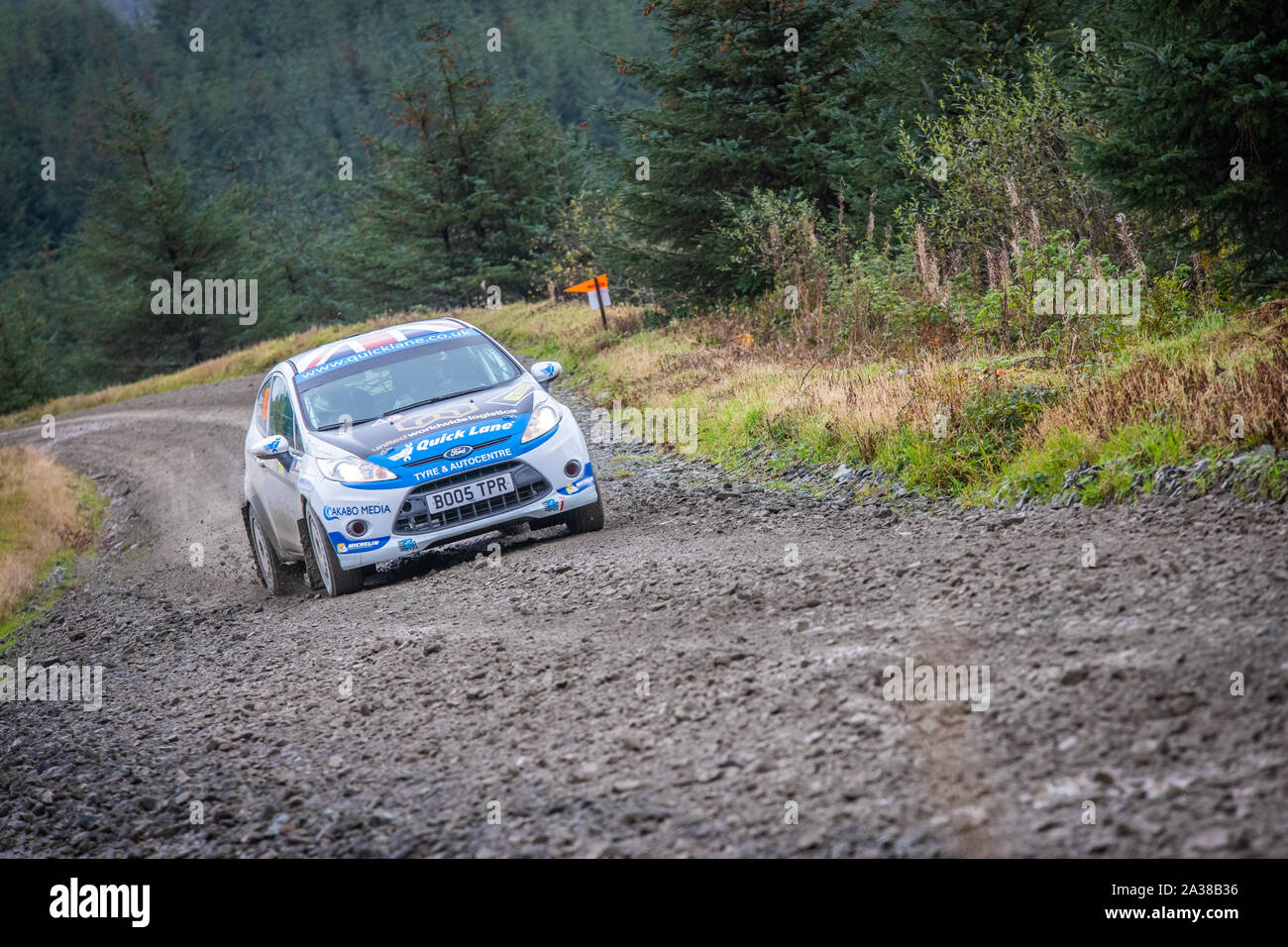 Louise Cook (Fahrt durch die Myherin Bühne Großbritannien) auf Wales Rally GB 2019 im Ford Fiesta R2 Stockfoto