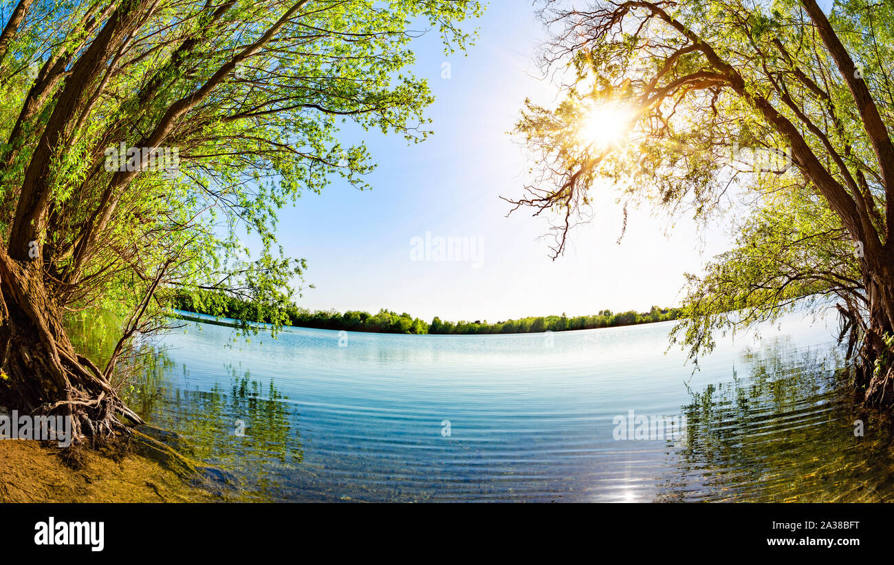 See mit Bäumen und strahlende Sonne an einem heißen Sommertag Stockfoto
